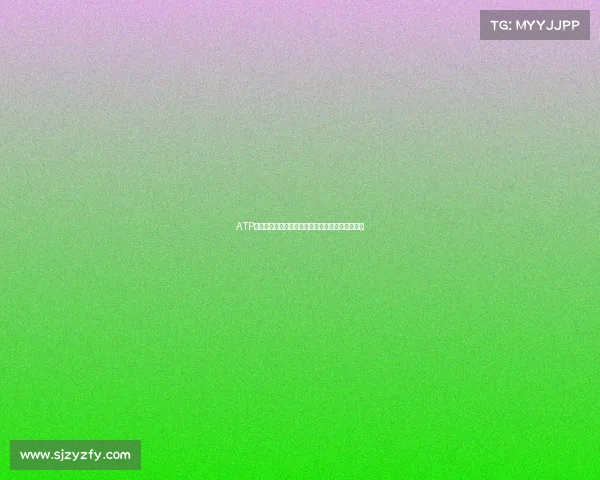 ATP赛事主管引领职业网球巡回赛创新与战略决策艺术